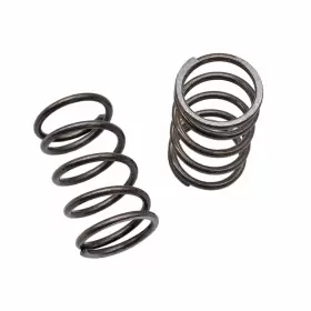 746757991672 AIB2C Valves Springs Clone GX120 GX200 Honda 746757991672 AIB2C Valves Springs Clone GX120 GX200 Honda
