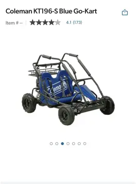 KT196-S COLEMAN Go Kart #2