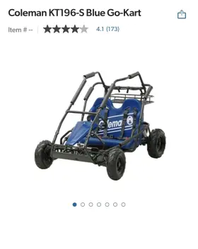 KT196-S COLEMAN Go Kart