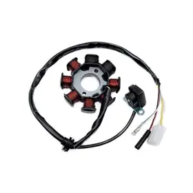 SC-GY6-50 DAN.R Magneto Stator Dual Ignition Wires Ac Poles