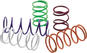 601759115221 EPI Secondary Clutch Spring