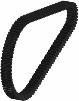 749684876814 FREEAGAIN Drive Belt Utv Xp 1000