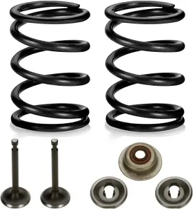 FV-VS26-KIT FVRITO Valve Springs Retainer GX160 Predator