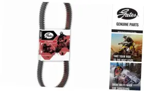 4ES69X46Z9EEB3ASH1G3B8G7W3 GATES Drive Belt Xp Eps 1000 Force
