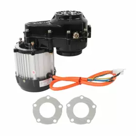 GPS3685552 GOLFPARTSTORE Go Kart Buggy Atv Electric Motor