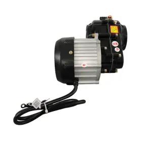 GPS3685656 GOLFPARTSTORE Electric Differential Brushless Lawn #3