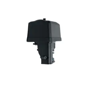 138210030 GOPOWERSPORTS Air Cleaner Tillotson