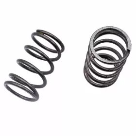716035471615 HABIIID Valves Springs Clone GX120 GX200 Honda