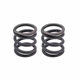 716035764496 HABIIID Valves Springs Bsp Clone GX200 Honda #2
