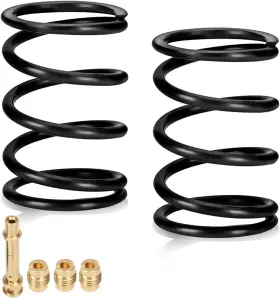 HO-VS-18LB HIAORS Racing Valve Springs GX160 Predator Hemi