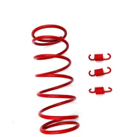 704755389211 HONGYU High Performance Clutch Springs Racing