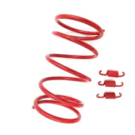 704755389242 HONGYU High Performance Clutch Springs Racing