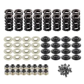 9893843 ISINFLASH Ls Dual Valve Spring Platinum Retainers Kit