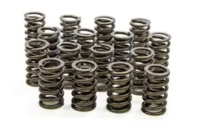 235D ISKY RACING CAMS Valve Spring