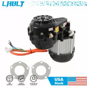 OM318942OC LABLT Electric Differential Motor Atv Buggy Go
