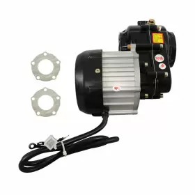 QS567024QR LABLT Carburetor Go Kart Electric Differential
