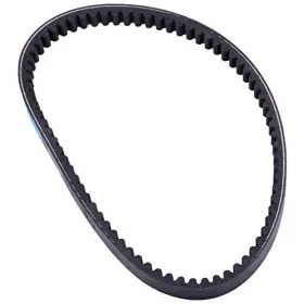 M150-1033000 LUMIX GC Drive Belt Hammerhead Junior Standard