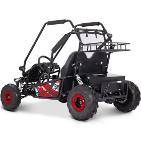 MT-MUD-XL-72V-2000W MOTOTEC Electric Go Kart Suspension #3