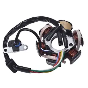 6-COIL NAN MEI Wires Pole Magneto Flywheel Stator Pit Quad