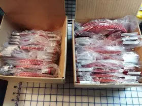PP53-PP77 PIT PARTS Sprocket Chain Go Mini Split Yard Trikes PP53-PP77 PIT PARTS Sprocket Chain Go Mini Split Yard Trikes
