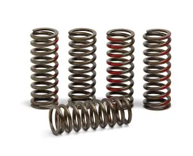 644978611365 PRO CIRCUIT Clutch Springs