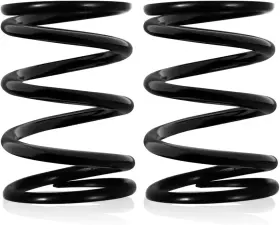 313047299222 RAINYUPARTS Valve Springs GX160 GX200 Honda Hemi