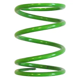 023899598076 RED HAWK Clutch Spring Go Cl