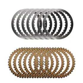 16-06T7-46H8-01 ROAD PASSION Clutch Steel Plate Friction