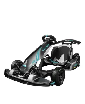 PRO2 SEGWAY Ninbot Gokart