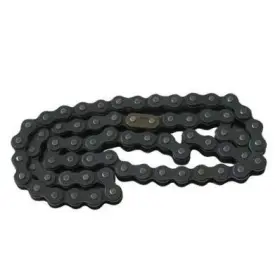 420010Z080G000 TRAILMASTER Xrx Drive Chain