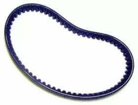 9.110.018 TRAILMASTER Drive Belt Xrx Go Karts