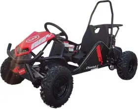 CHEETAH3 TRAILMASTER Kids Gas Go Kart CHEETAH3 TRAILMASTER Kids Gas Go Kart