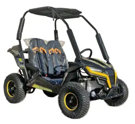 CHEETAH6 TRAILMASTER Kids Gas Go Kart Electric Start Remote