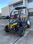 Trailmaster Cheetah6 Kids Electric Go Kart 48v 650w High / Low Reverse. Fixed Price $2126.00.