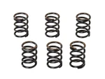 Kitako (kitaco) Reinforced Clutch Spring Set Grom (grom) 307. Fixed Price $32.76.