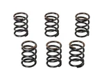 Kitaco Reinforced Clutch Spring Set 6pcs 307-1432600 Monkey 125 Grom Ct125 Hunte. Fixed Price $44.83.
