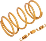 Atks-03902 High Performance Racing Torque Spring Clutch Springs Gy6 50cc-100cc 1. Fixed Price $20.99.