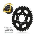 35 Chain Sprocket 40 Tooth Compatible With Coleman Mini Bike Ct100u Cc100x Ck.... Fixed Price $16.64.