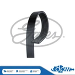 Gates V-ribbed Belts Fits Berlingo Partner Expert Fiesta Scudo 04891505ab. Fixed Price $18.87.
