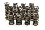 Isky 235d Valve Springs. Fixed Price $189.89.