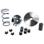 Polini Performance Variator Kit For Yamaha Zuma 125cc. Fixed Price $145.98.