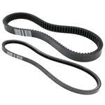 Roykaw Golf Cart Clutch Drive Belt & Starter Generator Kit Black. Fixed Price $30.99.