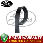 Gates V-ribbed Belts Fits Berlingo Partner Expert Fiesta Scudo - 6pk1438. Fixed Price $18.71.