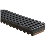 Gates 33c3836 G-force C12 Continuously Variable Transmission (cvt) Belt. Fixed Price $80.22.