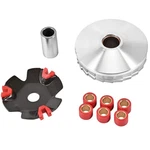High Performance Racing Variator Kit With 6.5 Gram Copper Roller Weights For .... Fixed Price $28.65.