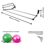 Exercise Ball Holder Wall Mounted Rack Odoxia. Fixed Price $44.79.