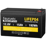 Feuruetc 12v 15ah Deep Cycle Lifepo4 Battery 3000+ Cycles Maintenance-free Fish. Fixed Price $63.75.