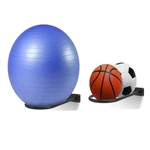 Xiao Pei Medicine Ball Rack Wall Mount Stability Storage 2 Black. Fixed Price $58.48.