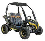 Trailmaster Cheetah6 Kids Gas Go Kart 5.5hp Electric Start And Remote Start/kill. Fixed Price $2184.00.