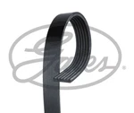 Gates 6pk1438 V-ribbed Belt For Chrysler, Citro N, Fiat, Ford, Hyundai, Mazda, Mitsubishi. Fixed Price $17.34.
